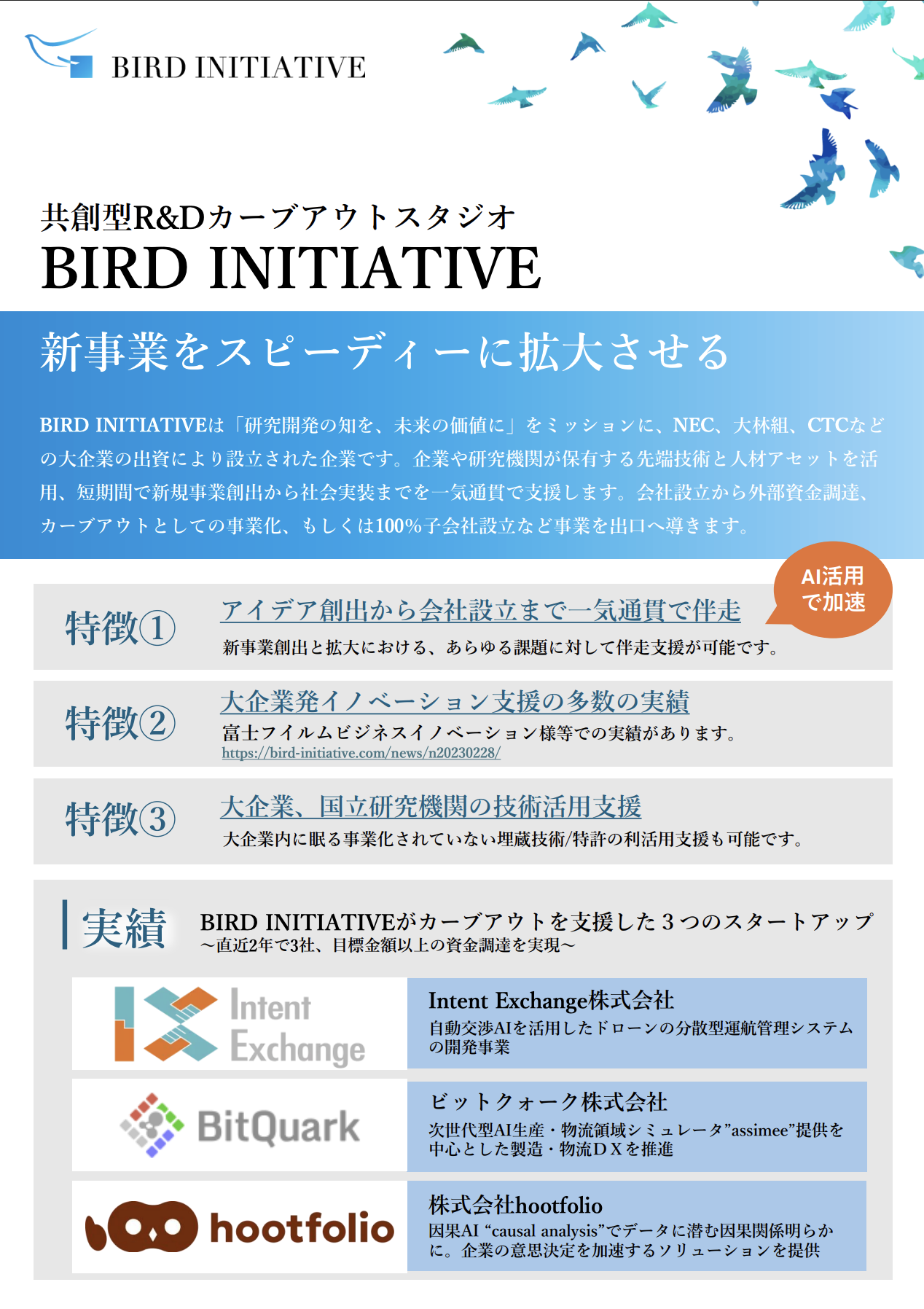 Company Information